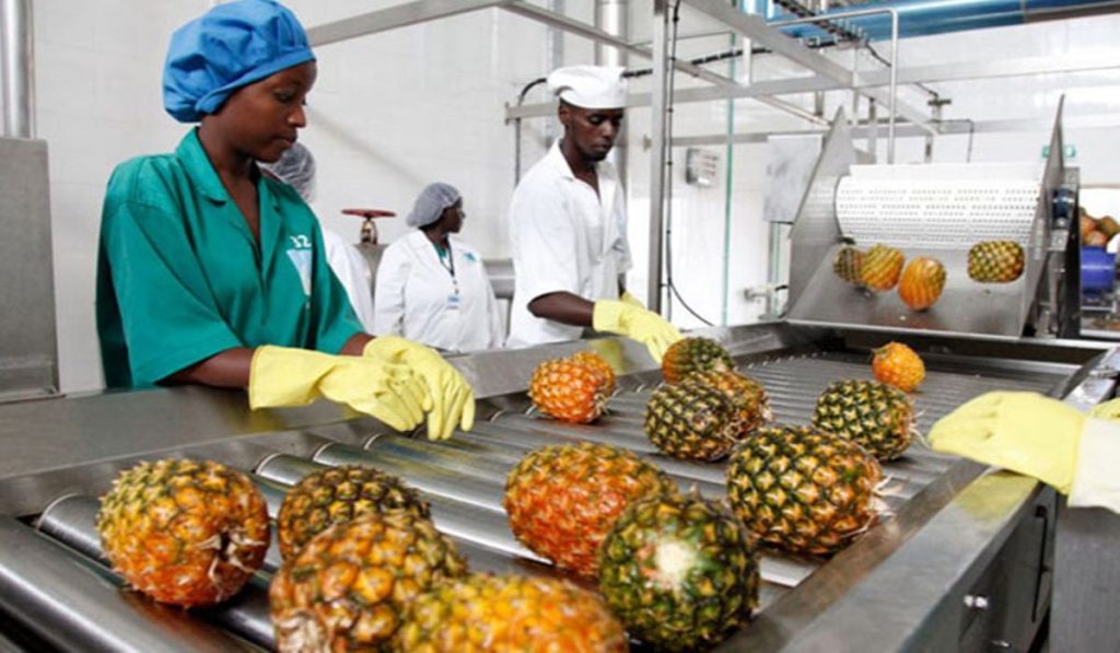 Processsed Fruit Fruit Processing